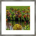 Baywood Bridge Framed Print