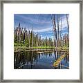 Bc Forest Lake Framed Print