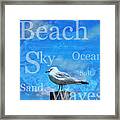 Beach Art Seagull By Sharon Cummings Framed Print