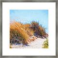 Beach Grass And Sand Dunes Framed Print