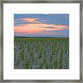 Beach Grass Farm Framed Print