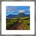 Beach Road Kalaupapa Framed Print