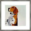 Beagle Framed Print