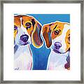 Beagles - Littermates Framed Print