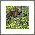 Bear In Blooms Framed Print