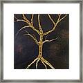 Bear Tree Framed Print