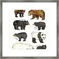 Bears Framed Print