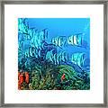 Beautiful Angels On The Reef In Hdr Detail Framed Print