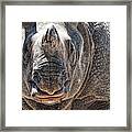 Beautiful Beast Framed Print