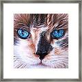 Beautiful Mia Framed Print