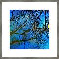 Beautiful Mud Puddle Framed Print