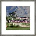 Beautiful Nation Framed Print