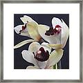 Beautiful Orchids Framed Print