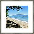 Beautiful Palms Of Maui 15 Framed Print