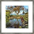 Beautiful   Spring Day Framed Print