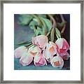 Beautiful Tulips Framed Print