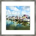 Beautiful View On The Elizabeth 1 Framed Print