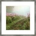 Beauty At Kendall Hills Framed Print