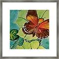Beauty In Butterflies Framed Print