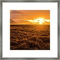 Beauty In Nature Framed Print