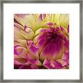 Beauty In The Market Framed Print