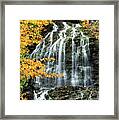 Beaver Brook Falls 8918 Framed Print