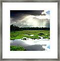 Beaver Meadow Framed Print