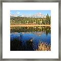 Beaver Pond And Pyramid Mountain Framed Print