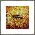 Bee Framed Print