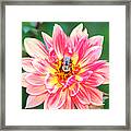 Bee In The Center Framed Print