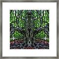 Beech Tree Image Pareidolia Framed Print