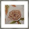 Beige Rose Framed Print