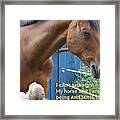 Being Awesome With My Horse Framed Print
