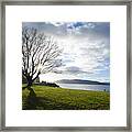 Bellingham Winter At Marine Park Framed Print