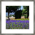 Bench In Flowers Framed Print