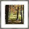 Bench In The Woods Framed Print