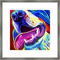 Bernese - Sunshine Framed Print