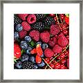 Berries Framed Print