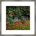 Berries And Autumn Leaves In Ireland Framed Print