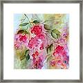 Berries Galore Framed Print