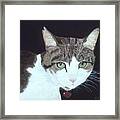 Best Cat Framed Print