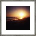 Best Friends At The Beach 3 Framed Print