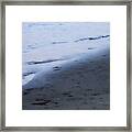 Between Light And Shadow Framed Print