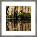 Big Cypress Reflection Color Framed Print