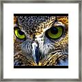 Big Eyes Framed Print