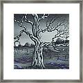 Big Old Tree Framed Print