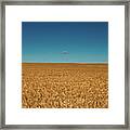 Big Sky Montana Framed Print