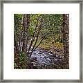 Big Sur River Near The Grange Hall Framed Print