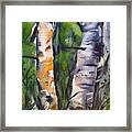 Birch Brothers Framed Print