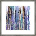 Birch Trees Abstract Framed Print